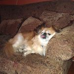 Roy Helton - @roy.helton.5 - Instagram