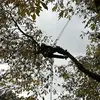 Roy Herbert - @roy.herbert - TikTok