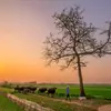 Roy Hess - @roy.hess4 - TikTok