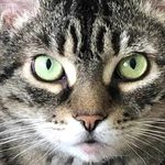 Roy Hess - @hess.roy - Instagram