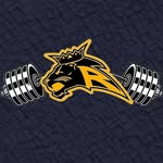 Roy High Strength & Conditioning - @royalsstrength - Instagram
