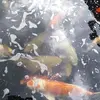 royhough693 - @royhough693 - TikTok