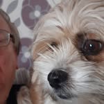 Roy Howells - @royhowells - Instagram