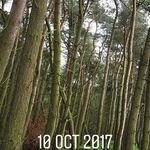 roy howell - @thoughtfulgardener2018 - Instagram