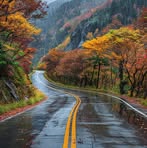 Roy Howell - Facebook