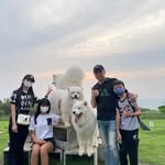 Roy Hsieh - @cba0935 - Instagram