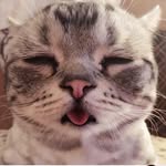 Roy Hsieh - @roy.hsieh.98 - Instagram