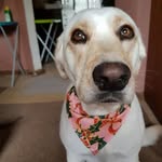 Roy Hubbard - @roy.hubbard.71 - Instagram