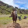 Roy Huber Tabra Berrocal - @roy.huber.tabra.b - TikTok