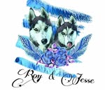 Jesse_Roy - @jesse_roy_husky - Instagram