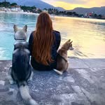 🐾Maya&Roy_husky🐾 - @mayaroy_husky - Instagram