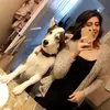 royal_husky__ - @royal_husky__ - TikTok