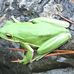 Roy Hyatt Environmental Center - Facebook
