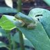 Roy Hyatt Environmental Center - Facebook
