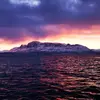 Roy Isaksen - @royisaksen - TikTok