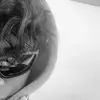 _royito_ - @_royito_ - TikTok