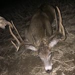 Jamison Roy - @jamisonroy58 - Instagram
