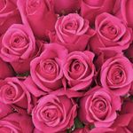 Roy Jamison - @rjames1306 - Instagram