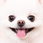 로이 - @jeong_roy - Instagram