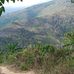 Royn Janwar - Facebook