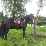 Roy Jørgensen - @jorgensen.roy - Instagram