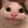 roykang68 - @roykang68 - TikTok