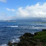 Vicki Roy Kauffman - @roykauffman - Instagram