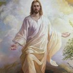 Roy Kinney - @roy.kinney - Instagram