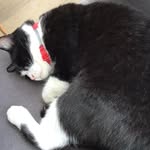 Rooie123 - @roykramer123 - Instagram