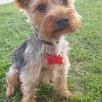 Roy Kramer - @roy.kramer.923 - Instagram