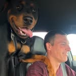 Roy Kramer - @kramerroy - Instagram