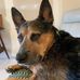 Roy Lafferty - Facebook