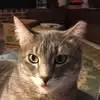 Roy Lafferty - @roy.lafferty0 - TikTok