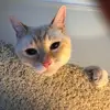 roylaird269 - @roylaird269 - TikTok