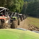 Roy Lancaster - @lancasterarkansas - Instagram