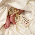 Roy - @_roy_land - Instagram