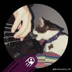 Roy Land - Facebook