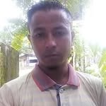 roylang@gmail.com - @roylang250 - Instagram