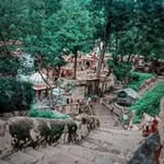 Royal gaming - @royalchallangers7 - Instagram