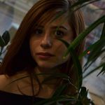 @roylangford892 - Instagram