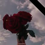 LiLy Roy - Facebook