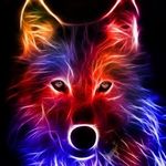 Roylilley - @roylilley123 - Instagram