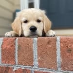 Roy Locke - @my.boy.roy - Instagram