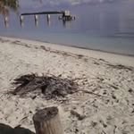Roy Lockhart - @roy.lockhart.77 - Instagram