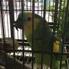 roy lu - @adriana.valin - TikTok