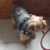 Lucas Roy - @lucas.roy3 - TikTok