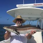 Roy Lucas Sr - @roylucas.sr - Instagram