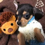 ROY＆LUNA - @r.o.y.l.u.n.a - Instagram