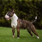 Roy Lyon - @roylyon3 - Instagram