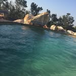 Roy Madden - @_roy_madden_ - Instagram